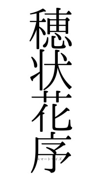 穂状花序（フォント0）