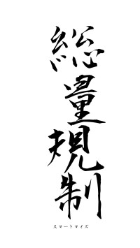 総量規制（フォント1）