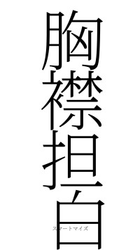 胸襟担白（フォント2）