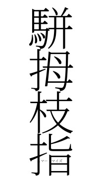 駢拇枝指（フォント2）