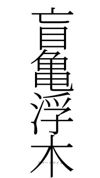 盲亀浮木（フォント2）