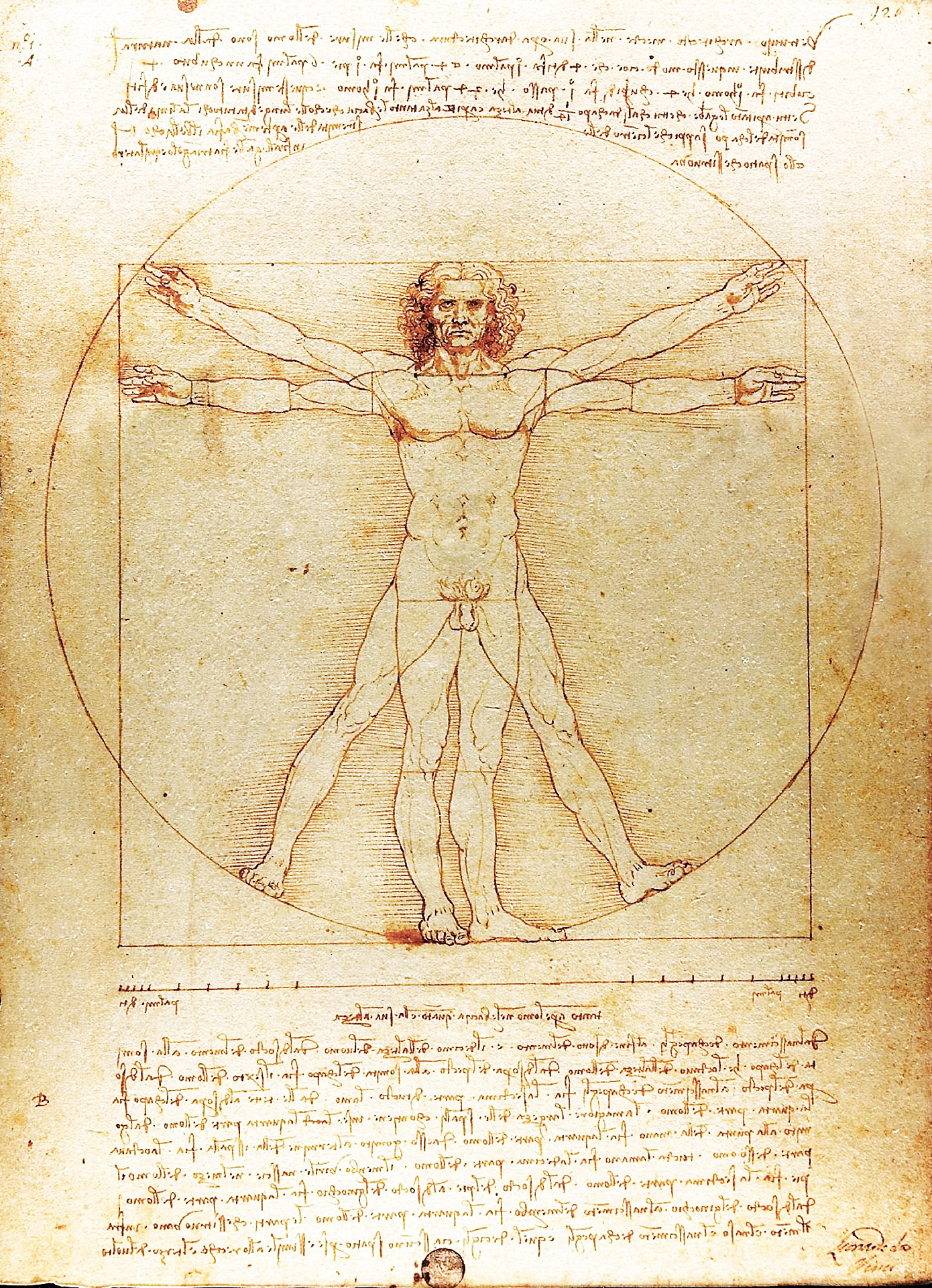 レオナルド ダ ヴィンチ ウィトルウィウス的人体図 Pc スマートフォンの壁紙 スマートマイズ