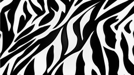 ゼブラ柄2　壁紙