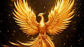 金色の鳳凰03-無料壁紙