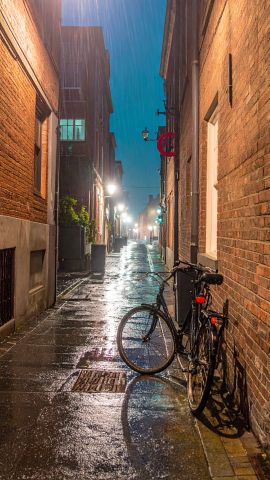 夜明けの雨に濡れた通り02-無料壁紙