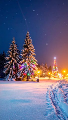 雪の降る夜に輝くクリスマスツリーとカラフルなイルミネーション02