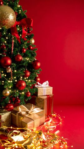 冬のクリスマスデコレーション