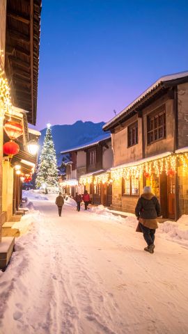 冬夜に灯るクリスマスライト