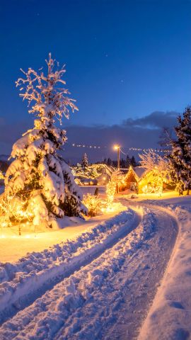 ツリーが灯すやすらぎの夜