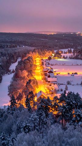 白銀の森とあたたかな灯火