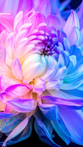 プリズム・アーキテクチャ-無料壁紙