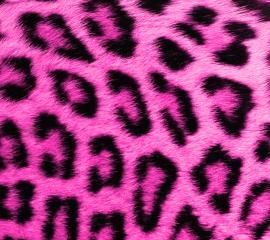 ピンク色のヒョウ柄