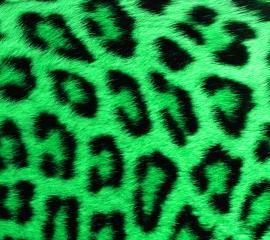 緑色のヒョウ柄